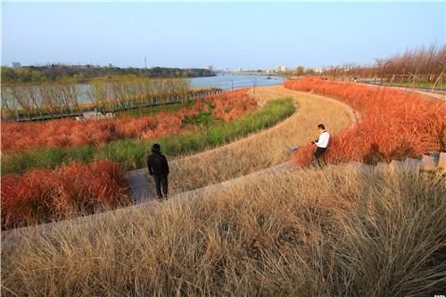 中國“城市海綿”—— 金華燕尾洲獲2015世界最佳景觀獎