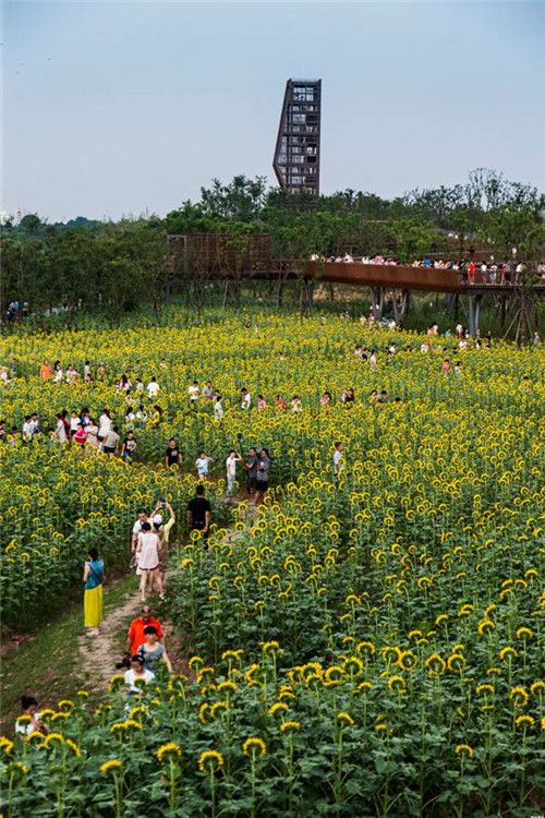 landarchs.com: 2015全球十大景觀項(xiàng)目